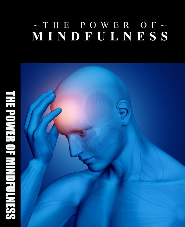 The Power of Mindfulness Ebook